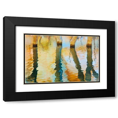Lake Powell Reflections III Black Modern Wood Framed Art Print with Double Matting by Mahan, Kathy