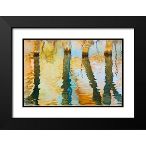 Lake Powell Reflections III Black Modern Wood Framed Art Print with Double Matting by Mahan, Kathy