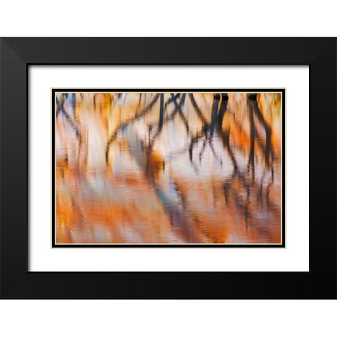 Lake Powell Reflections IV Black Modern Wood Framed Art Print with Double Matting by Mahan, Kathy