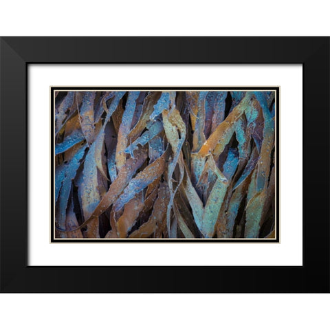 Sculptural Metal VII Black Modern Wood Framed Art Print with Double Matting by Mahan, Kathy