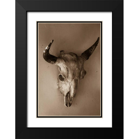Steer Skull Black Modern Wood Framed Art Print with Double Matting by Mahan, Kathy