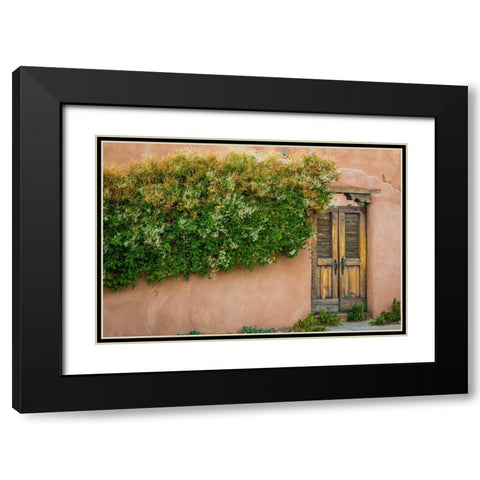 Gate II Black Modern Wood Framed Art Print with Double Matting by Mahan, Kathy