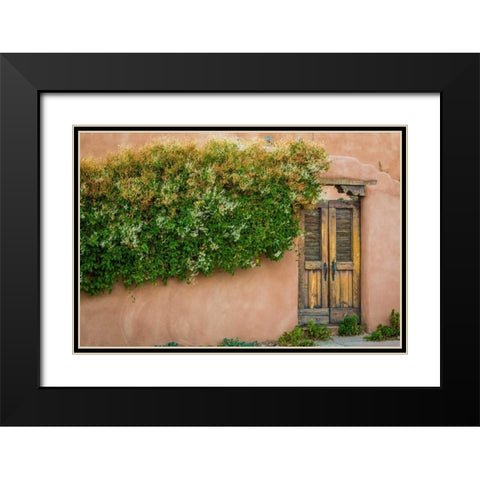 Gate II Black Modern Wood Framed Art Print with Double Matting by Mahan, Kathy