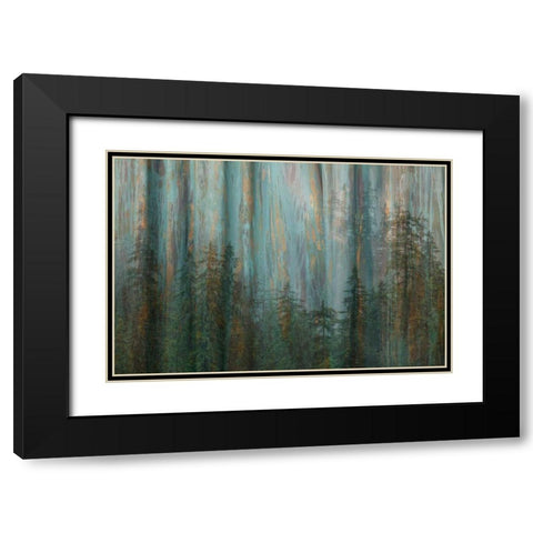 Forest I Black Modern Wood Framed Art Print with Double Matting by Mahan, Kathy