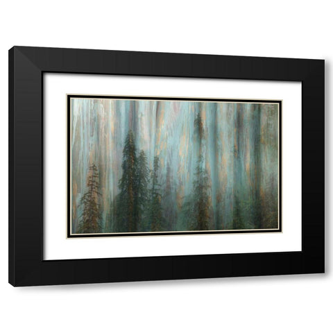 Forest II Black Modern Wood Framed Art Print with Double Matting by Mahan, Kathy