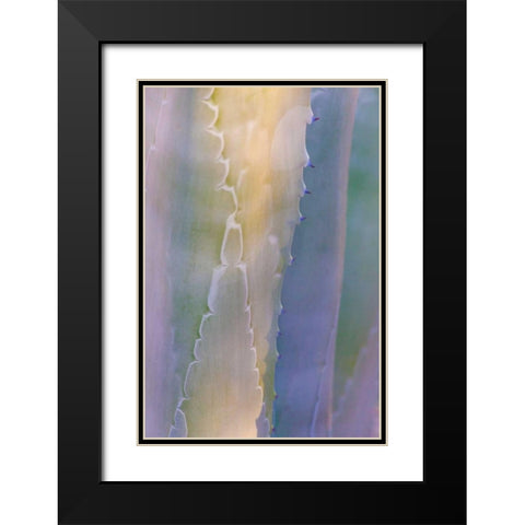 Agave III Black Modern Wood Framed Art Print with Double Matting by Mahan, Kathy