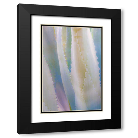 Agave IV Black Modern Wood Framed Art Print with Double Matting by Mahan, Kathy