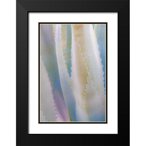 Agave IV Black Modern Wood Framed Art Print with Double Matting by Mahan, Kathy