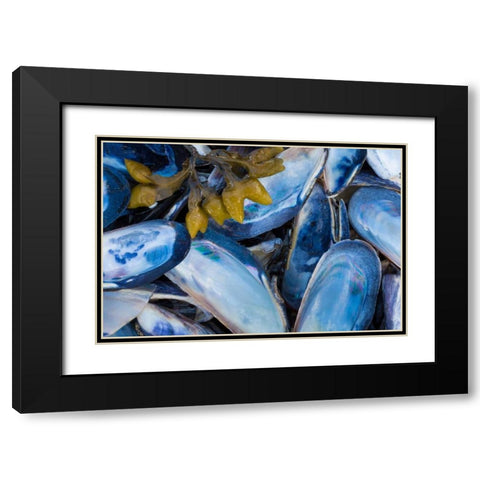 Mussels II Black Modern Wood Framed Art Print with Double Matting by Mahan, Kathy