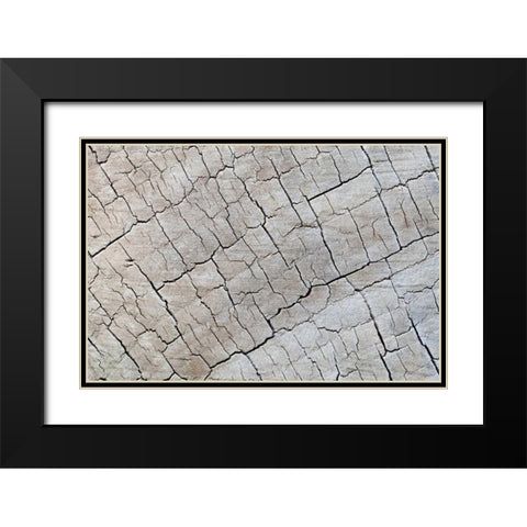 Weathered Wood I Black Modern Wood Framed Art Print with Double Matting by Mahan, Kathy