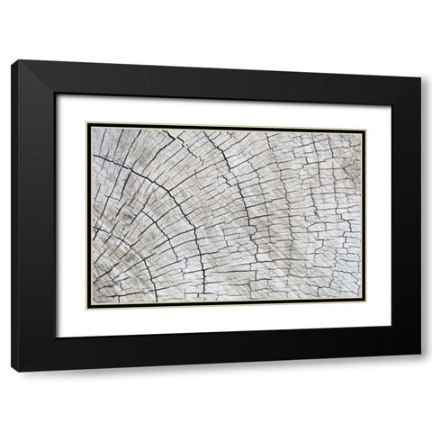 Weathered Wood II Black Modern Wood Framed Art Print with Double Matting by Mahan, Kathy