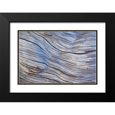 Weathered Wood III Black Modern Wood Framed Art Print with Double Matting by Mahan, Kathy