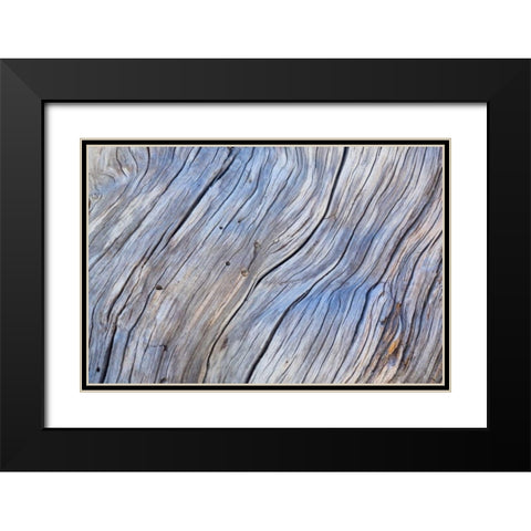 Weathered Wood IV Black Modern Wood Framed Art Print with Double Matting by Mahan, Kathy