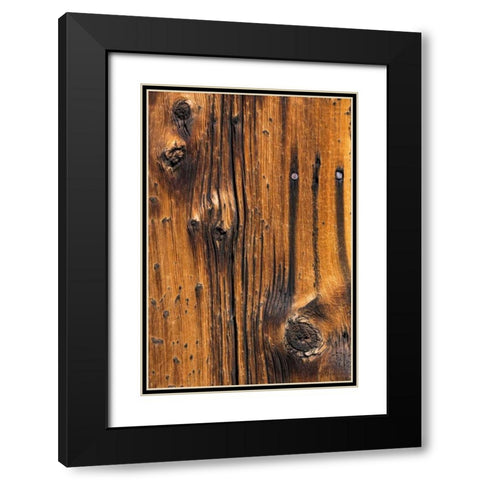 Wood Detail I Black Modern Wood Framed Art Print with Double Matting by Mahan, Kathy