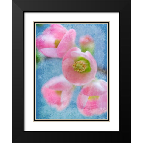 Flowering Quince II Black Modern Wood Framed Art Print with Double Matting by Mahan, Kathy
