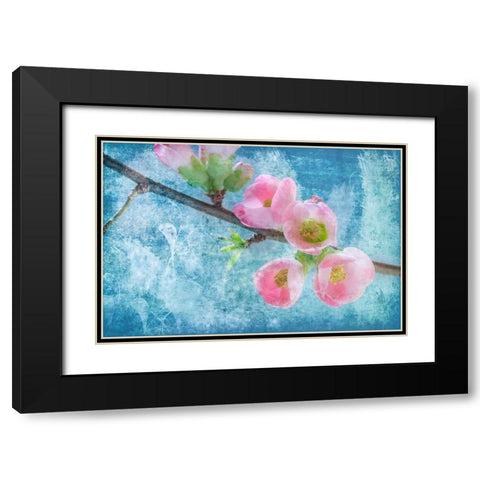 Flowering Quince III Black Modern Wood Framed Art Print with Double Matting by Mahan, Kathy