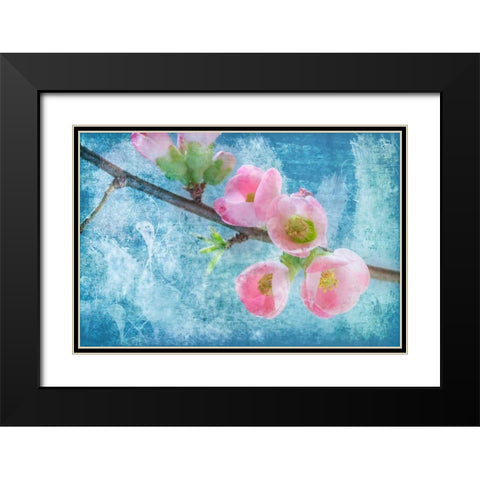 Flowering Quince III Black Modern Wood Framed Art Print with Double Matting by Mahan, Kathy