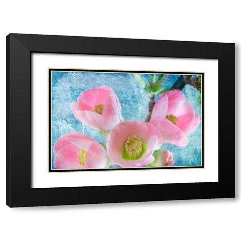 Flowering Quince IV Black Modern Wood Framed Art Print with Double Matting by Mahan, Kathy