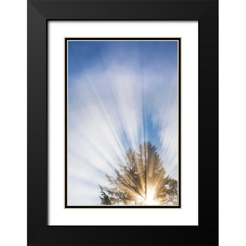 Sunburst I Black Modern Wood Framed Art Print with Double Matting by Mahan, Kathy