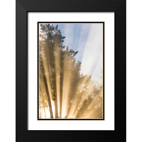 Sunburst II Black Modern Wood Framed Art Print with Double Matting by Mahan, Kathy