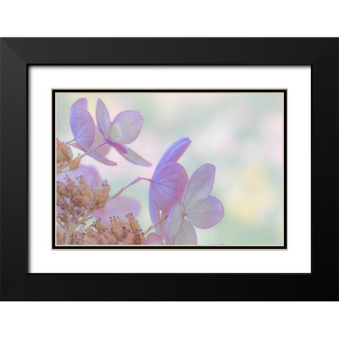 Pink Diamond I Black Modern Wood Framed Art Print with Double Matting by Mahan, Kathy