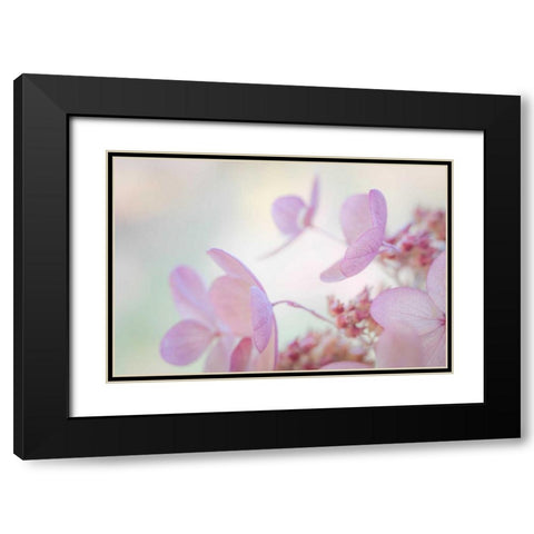 Pink Diamond II Black Modern Wood Framed Art Print with Double Matting by Mahan, Kathy