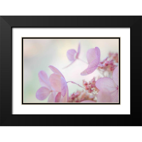 Pink Diamond II Black Modern Wood Framed Art Print with Double Matting by Mahan, Kathy