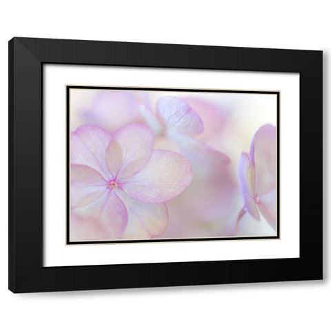 Pink Diamond III Black Modern Wood Framed Art Print with Double Matting by Mahan, Kathy