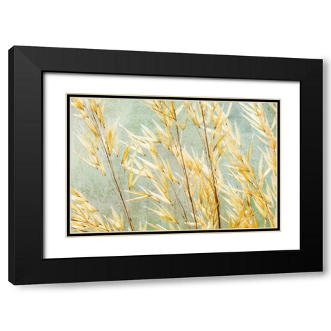 Golden Grasses Black Modern Wood Framed Art Print with Double Matting by Mahan, Kathy
