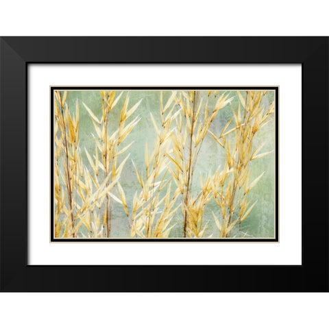 Golden Grasses Black Modern Wood Framed Art Print with Double Matting by Mahan, Kathy