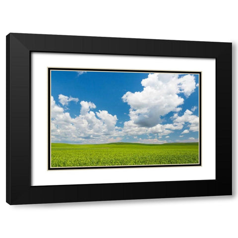 Palouse Farm II Black Modern Wood Framed Art Print with Double Matting by Mahan, Kathy