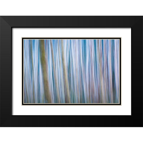 Winter Forest Abstract I Black Modern Wood Framed Art Print with Double Matting by Mahan, Kathy