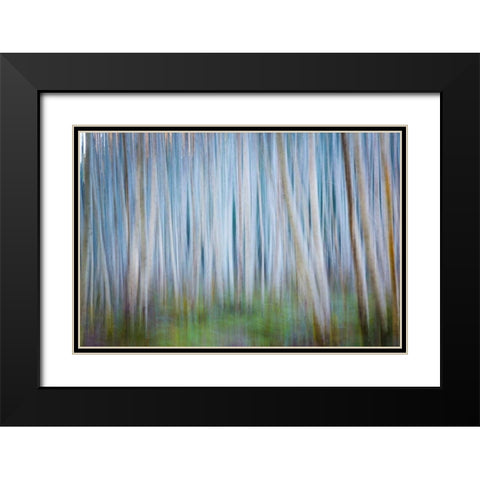 Winter Forest Abstract II Black Modern Wood Framed Art Print with Double Matting by Mahan, Kathy