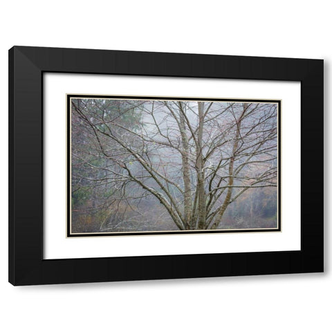 Foggy Winter I Black Modern Wood Framed Art Print with Double Matting by Mahan, Kathy