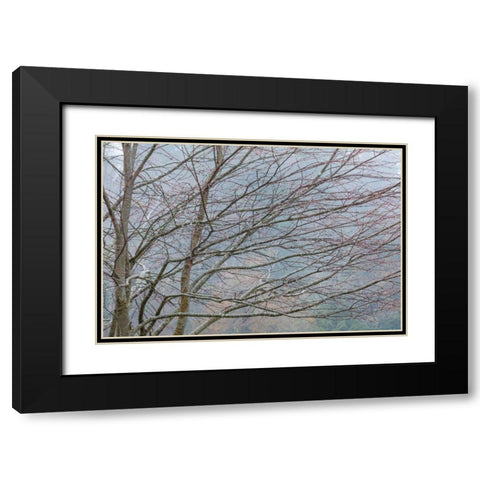 Foggy Winter II Black Modern Wood Framed Art Print with Double Matting by Mahan, Kathy