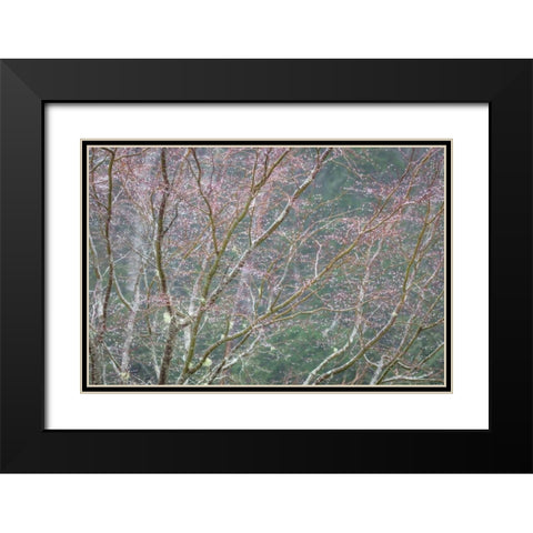 Sparkling Raindrops I Black Modern Wood Framed Art Print with Double Matting by Mahan, Kathy