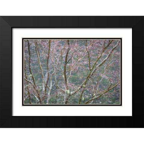 Sparkling Raindrops II Black Modern Wood Framed Art Print with Double Matting by Mahan, Kathy