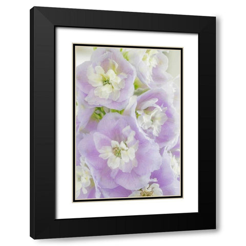 Delphinium Blossoms I Black Modern Wood Framed Art Print with Double Matting by Mahan, Kathy