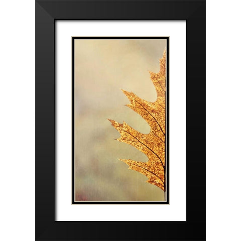 Oak Leaf I Black Modern Wood Framed Art Print with Double Matting by Mahan, Kathy