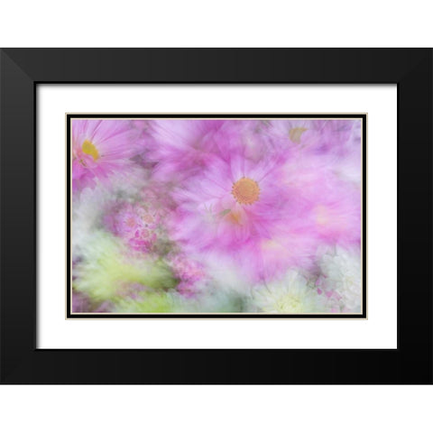 Flower Impressions I Black Modern Wood Framed Art Print with Double Matting by Mahan, Kathy