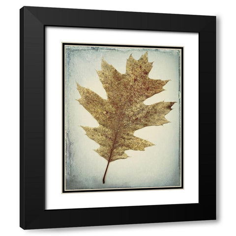 Oak Leaf Black Modern Wood Framed Art Print with Double Matting by Mahan, Kathy