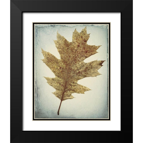 Oak Leaf Black Modern Wood Framed Art Print with Double Matting by Mahan, Kathy