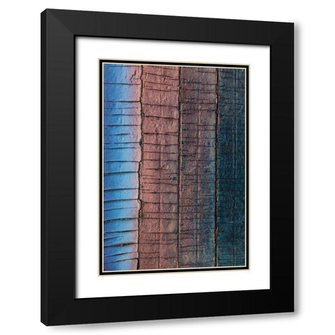 Weathered Black Modern Wood Framed Art Print with Double Matting by Mahan, Kathy
