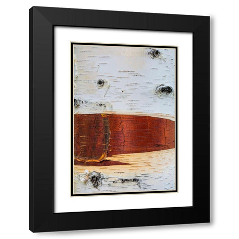 Paper Birch Black Modern Wood Framed Art Print with Double Matting by Mahan, Kathy