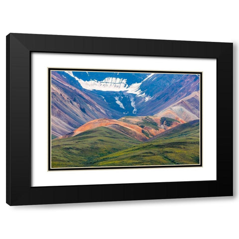 Danali National Park II Black Modern Wood Framed Art Print with Double Matting by Mahan, Kathy