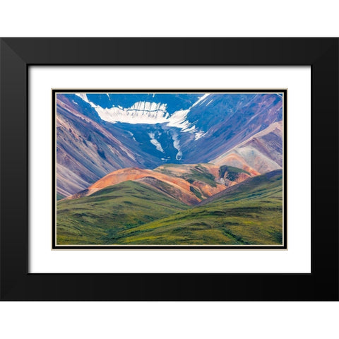 Danali National Park II Black Modern Wood Framed Art Print with Double Matting by Mahan, Kathy