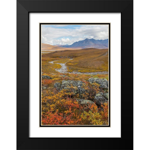Arctic National Preserve I Black Modern Wood Framed Art Print with Double Matting by Mahan, Kathy