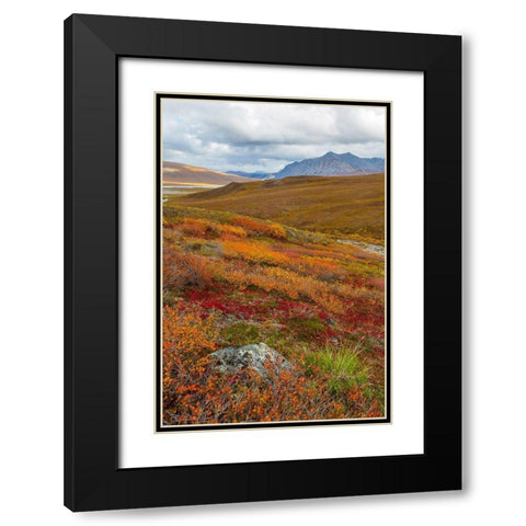Arctic National Preserve II Black Modern Wood Framed Art Print with Double Matting by Mahan, Kathy