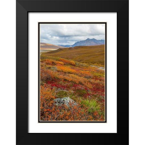 Arctic National Preserve II Black Modern Wood Framed Art Print with Double Matting by Mahan, Kathy