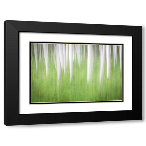 Birch in Motion Black Modern Wood Framed Art Print with Double Matting by Mahan, Kathy